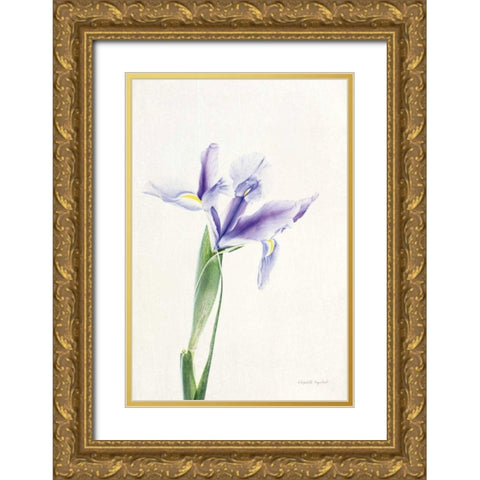 Light and Bright Floral IV Gold Ornate Wood Framed Art Print with Double Matting by Urquhart, Elizabeth