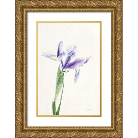 Light and Bright Floral IV Gold Ornate Wood Framed Art Print with Double Matting by Urquhart, Elizabeth