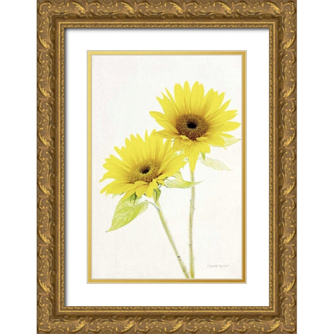 Light and Bright Floral VII Gold Ornate Wood Framed Art Print with Double Matting by Urquhart, Elizabeth