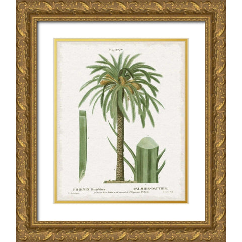 Island Botanicals II Gold Ornate Wood Framed Art Print with Double Matting by Wild Apple Portfolio