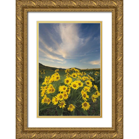 Methow Valley Wildflowers II Gold Ornate Wood Framed Art Print with Double Matting by Audit, Lisa