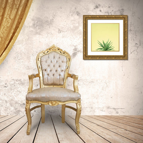 Succulent Simplicity I Gold Ornate Wood Framed Art Print with Double Matting by Bradley, Felicity