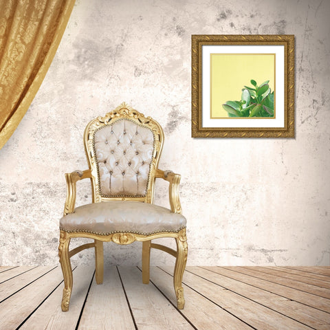 Succulent Simplicity IV Gold Ornate Wood Framed Art Print with Double Matting by Bradley, Felicity