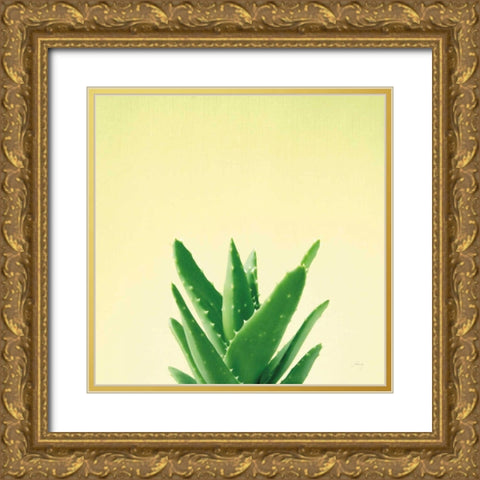 Succulent Simplicity V Gold Ornate Wood Framed Art Print with Double Matting by Bradley, Felicity