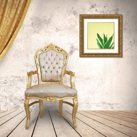 Succulent Simplicity VI Gold Ornate Wood Framed Art Print with Double Matting by Bradley, Felicity