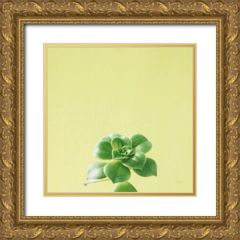 Succulent Simplicity VII Gold Ornate Wood Framed Art Print with Double Matting by Bradley, Felicity