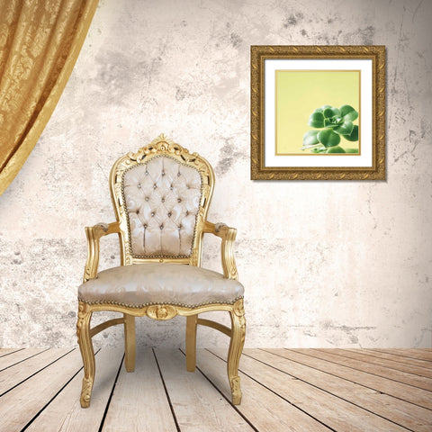 Succulent Simplicity VIII Gold Ornate Wood Framed Art Print with Double Matting by Bradley, Felicity