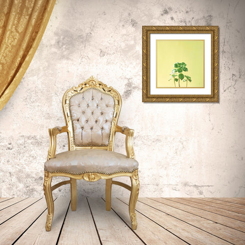 Succulent Simplicity IX Gold Ornate Wood Framed Art Print with Double Matting by Bradley, Felicity