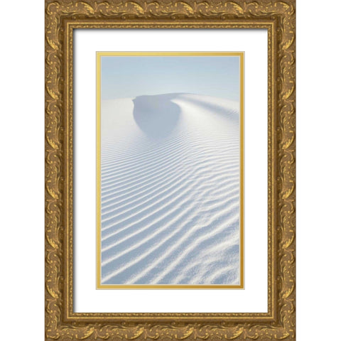 White Sands II no Border Gold Ornate Wood Framed Art Print with Double Matting by Audit, Lisa
