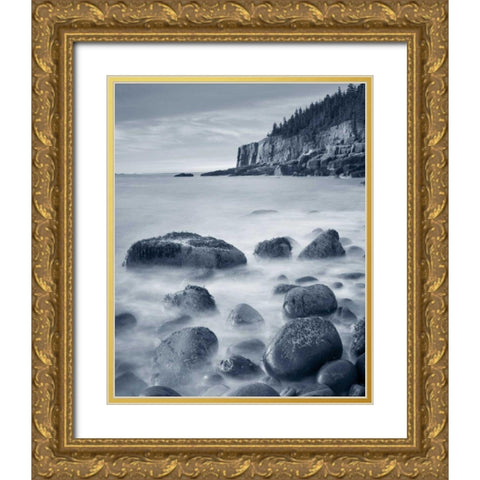 Acadia Coast Crop Gold Ornate Wood Framed Art Print with Double Matting by Audit, Lisa