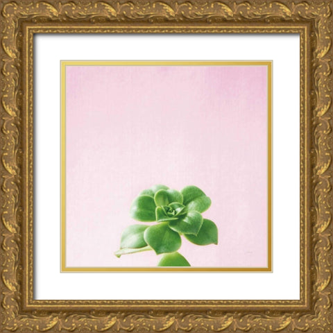 Succulent Simplicity VII on Pink Gold Ornate Wood Framed Art Print with Double Matting by Bradley, Felicity