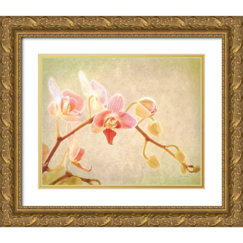 Perfume Gold Ornate Wood Framed Art Print with Double Matting by Bevan, Keri