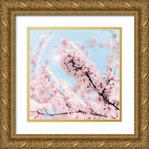 Cherry Blossom Clouds Gold Ornate Wood Framed Art Print with Double Matting by Bevan, Keri