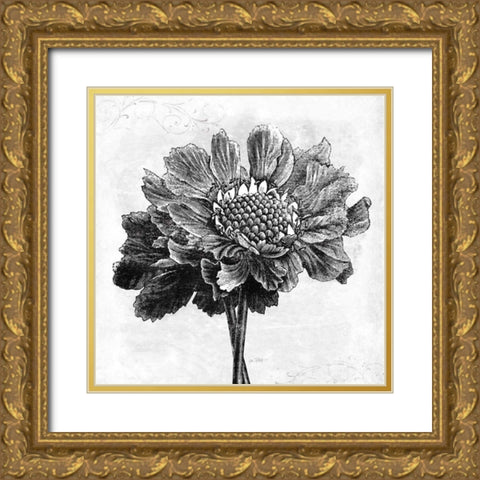 Spa Botanical I BW Gold Ornate Wood Framed Art Print with Double Matting by Pertiet, Katie