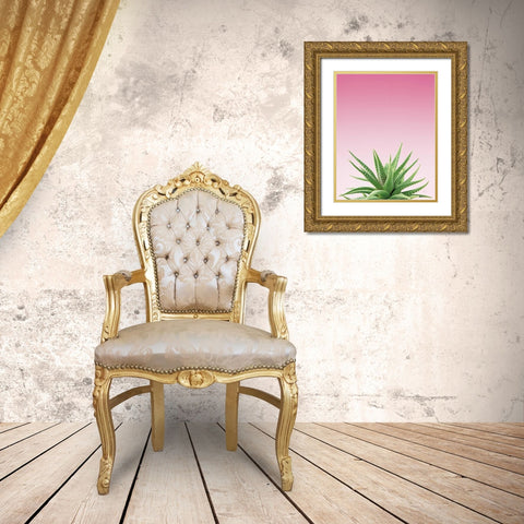 Succulent Simplicity I Pink Ombre Crop Gold Ornate Wood Framed Art Print with Double Matting by Bradley, Felicity