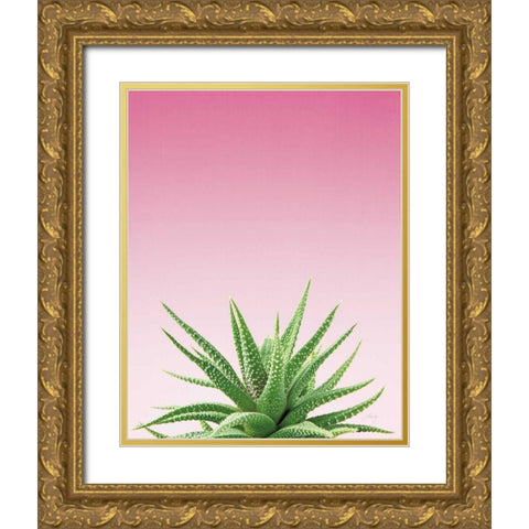 Succulent Simplicity I Pink Ombre Crop Gold Ornate Wood Framed Art Print with Double Matting by Bradley, Felicity