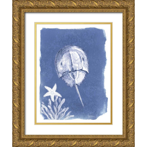 Coastal Sea Life VI Gold Ornate Wood Framed Art Print with Double Matting by Grove, Beth