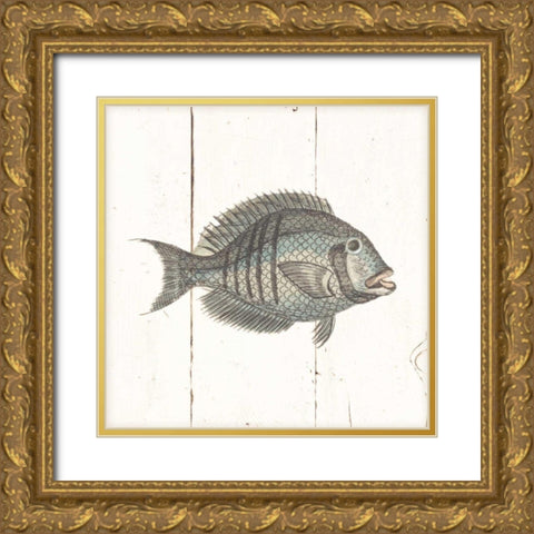 Fish Sketches I Shiplap Gold Ornate Wood Framed Art Print with Double Matting by Wild Apple Portfolio