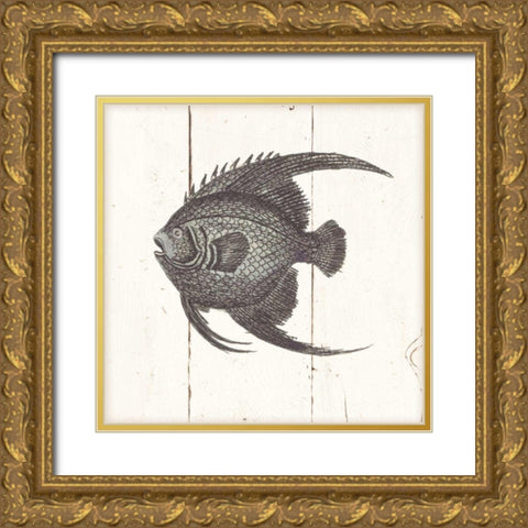 Fish Sketches IV Shiplap Gold Ornate Wood Framed Art Print with Double Matting by Wild Apple Portfolio
