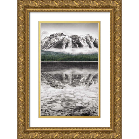 Waterfowl Lake Panel II BW with Color Gold Ornate Wood Framed Art Print with Double Matting by Audit, Lisa