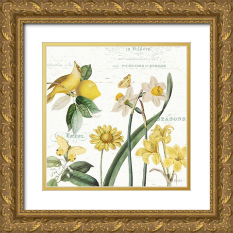 Citron Curiosities II Gold Ornate Wood Framed Art Print with Double Matting by Pertiet, Katie
