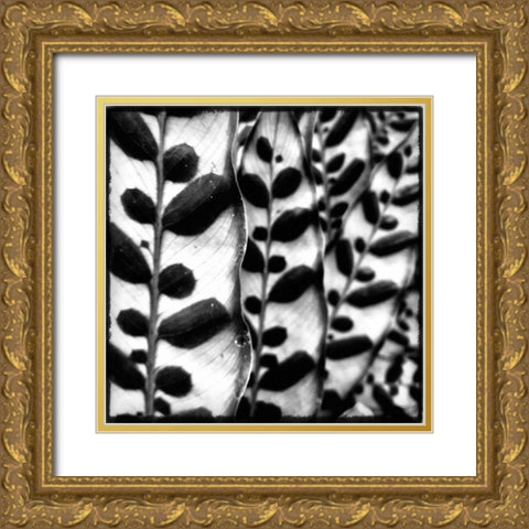 Leaves and Vines Gold Ornate Wood Framed Art Print with Double Matting by Aledanda