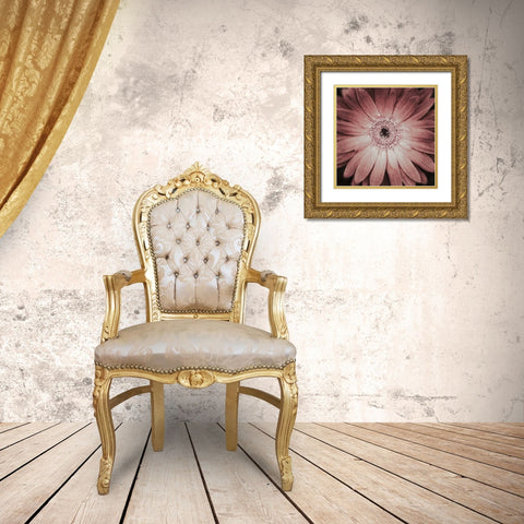 Gerbera Gold Ornate Wood Framed Art Print with Double Matting by Aledanda