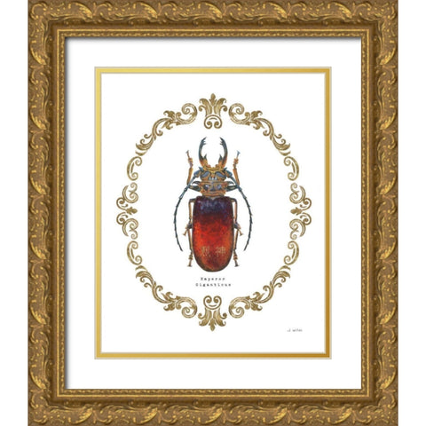 Adorning Coleoptera I Gold Ornate Wood Framed Art Print with Double Matting by Wiens, James
