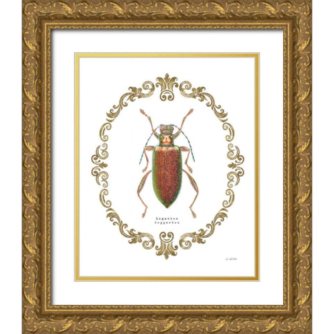 Adorning Coleoptera VI Gold Ornate Wood Framed Art Print with Double Matting by Wiens, James