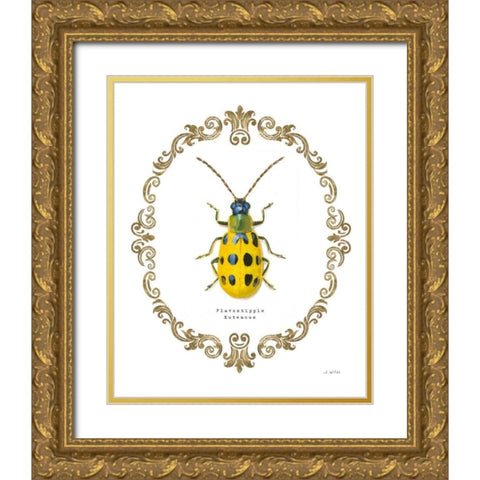 Adorning Coleoptera VII Gold Ornate Wood Framed Art Print with Double Matting by Wiens, James