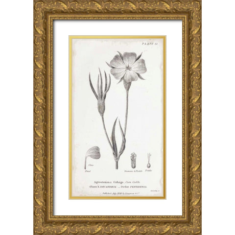 Conversations on Botany III Gold Ornate Wood Framed Art Print with Double Matting by Wild Apple Portfolio