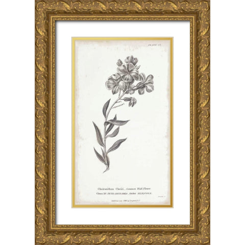 Conversations on Botany VI Gold Ornate Wood Framed Art Print with Double Matting by Wild Apple Portfolio