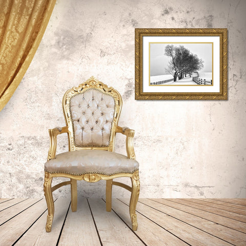 Along the Lane I Gold Ornate Wood Framed Art Print with Double Matting by Aledanda