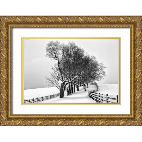 Along the Lane I Gold Ornate Wood Framed Art Print with Double Matting by Aledanda