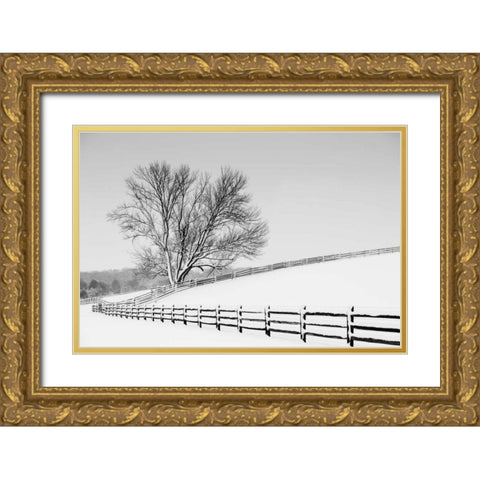 Along the Lane II Gold Ornate Wood Framed Art Print with Double Matting by Aledanda