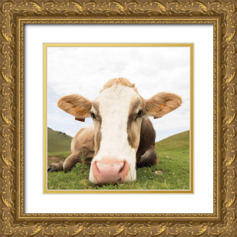 Close Up I Crop Gold Ornate Wood Framed Art Print with Double Matting by Aledanda