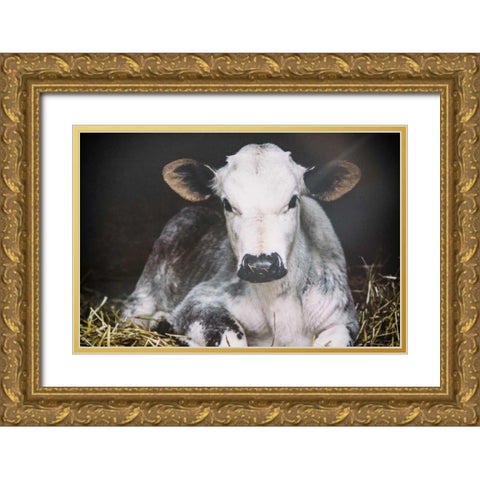 Busy Day Crop Gold Ornate Wood Framed Art Print with Double Matting by Aledanda