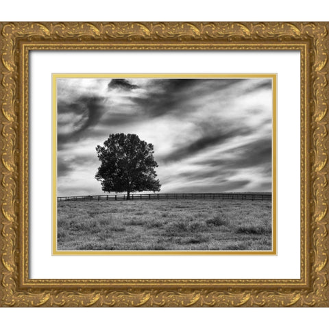 Majestic Crop Gold Ornate Wood Framed Art Print with Double Matting by Aledanda