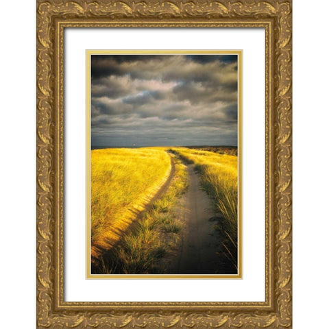 Down the Road Gold Ornate Wood Framed Art Print with Double Matting by Aledanda