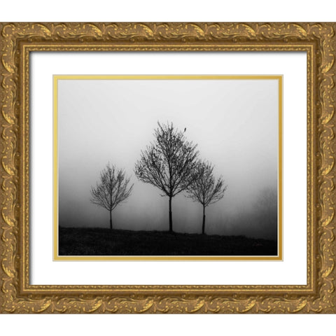 In the Fog Crop Gold Ornate Wood Framed Art Print with Double Matting by Aledanda