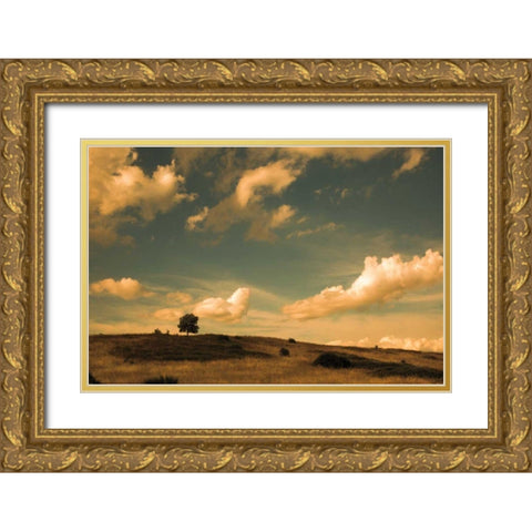 What Beautiful Clouds Gold Ornate Wood Framed Art Print with Double Matting by Aledanda