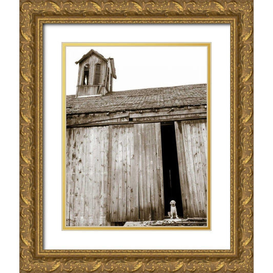 Perspective Image