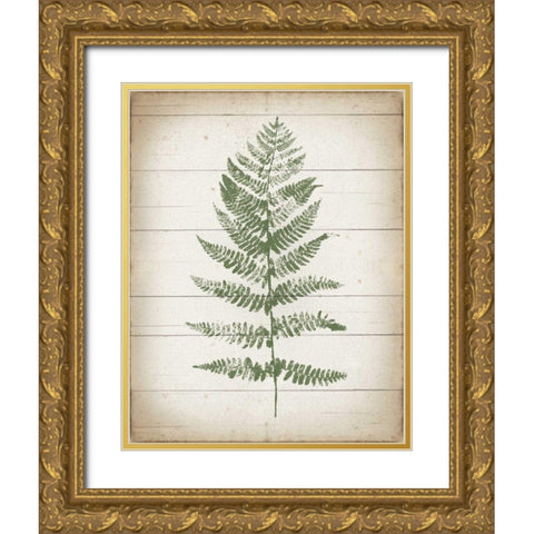 Fern Print II v2 Gold Ornate Wood Framed Art Print with Double Matting by Hershey, Moira