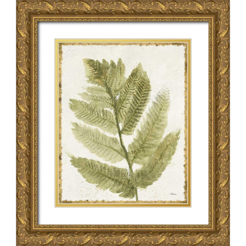 Forest Ferns I Antique Gold Ornate Wood Framed Art Print with Double Matting by Hristova, Albena