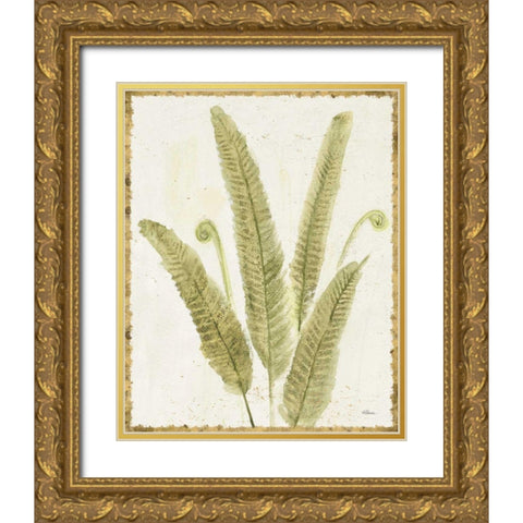 Forest Ferns II v2 Antique Gold Ornate Wood Framed Art Print with Double Matting by Hristova, Albena