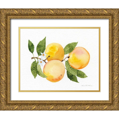 Citrus Garden III Gold Ornate Wood Framed Art Print with Double Matting by McKenna, Kathleen Parr