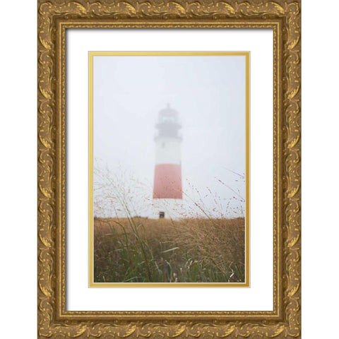 Sankaty Head in the Fog Gold Ornate Wood Framed Art Print with Double Matting by Marshall, Laura