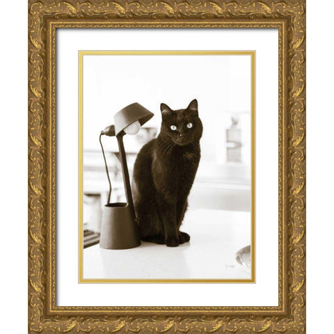 Lights Cat Action Gold Ornate Wood Framed Art Print with Double Matting by Dratfield, Jim