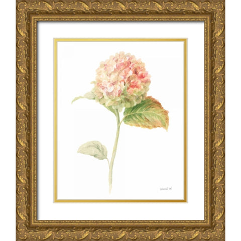 Floursack Florals on White V Gold Ornate Wood Framed Art Print with Double Matting by Nai, Danhui