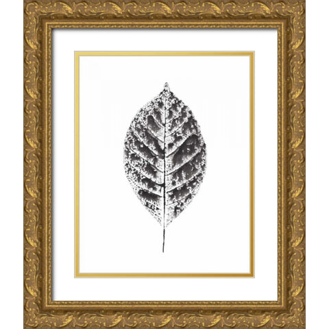 Harvest Sentiments V BW no Words Gold Ornate Wood Framed Art Print with Double Matting by Hershey, Moira